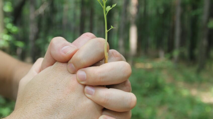 Les jeunes chrétiens allient foi et écologie intégrale
