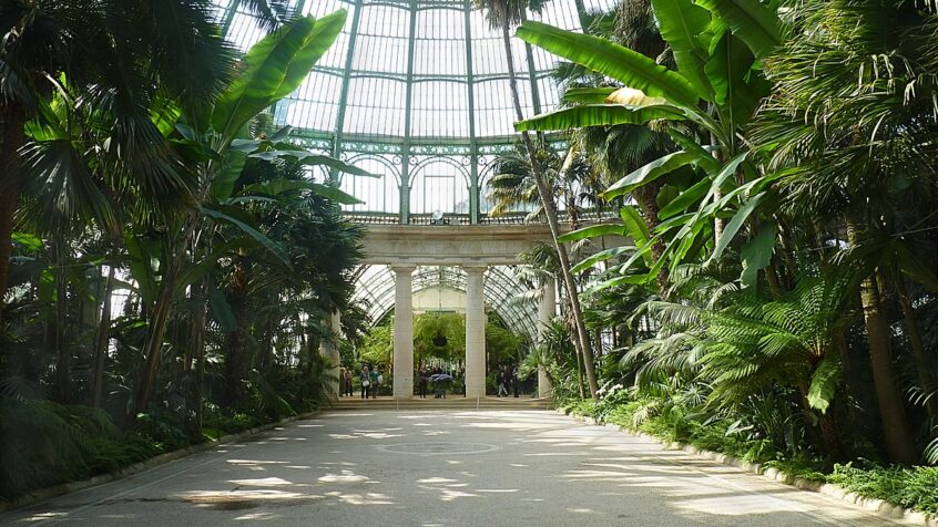 Les Serres royales de Laeken ouvertes à partir du 13 mai