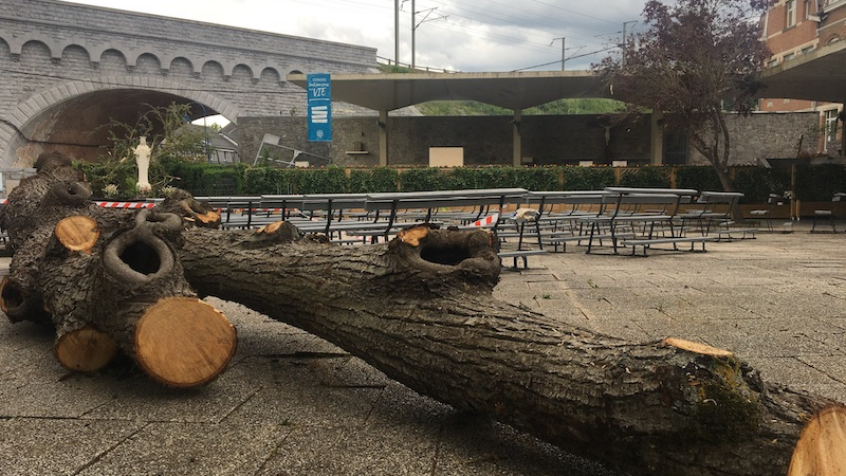 Tornade à Beauraing : la Vierge a résisté mais les dégâts sont importants