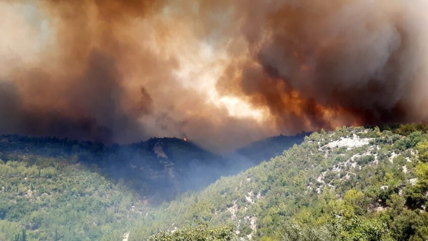 Le WWF lance une campagne d’urgence pour faire face à la catastrophe des incendies en Grèce et en Turquie