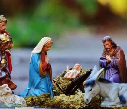 Personne ne vit uniquement pour soi-même. Voeux de Noël du cardinal Jozef De Kesel