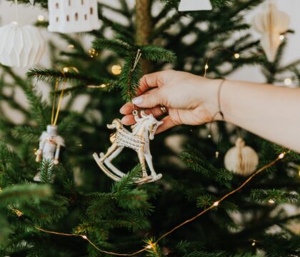Tout savoir sur le sapin de Noël