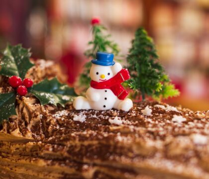 De la forêt à l&rsquo;assiette : brève histoire de la bûche de Noël