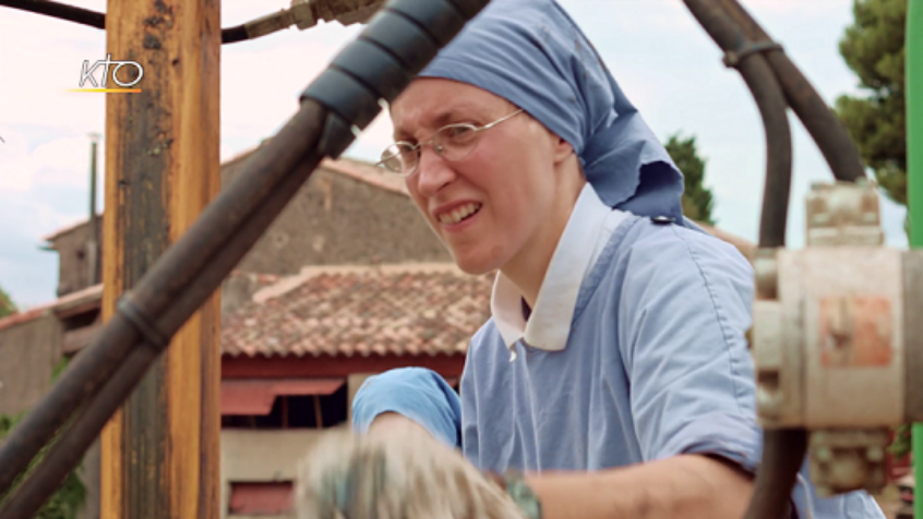 KTO: Sélection d&rsquo;émissions du 29 janvier au 4 février 2022
