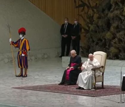 Audience générale: saint Joseph, humble charpentier et modèle pour les travailleurs