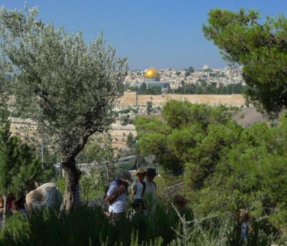 Jérusalem: gel du projet de parc national pour le Mont des Oliviers