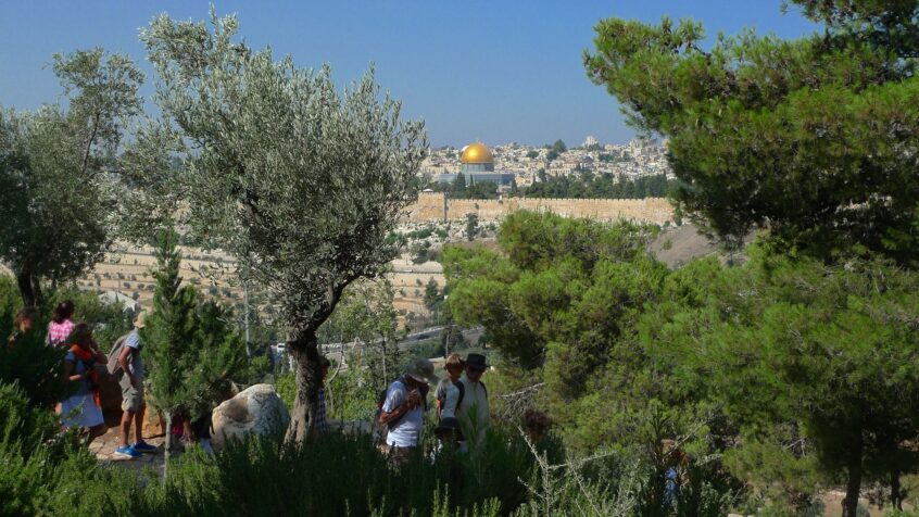 Jérusalem: gel du projet de parc national pour le Mont des Oliviers