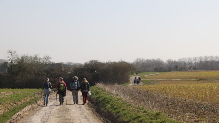 D&rsquo;Ittre à Bois-Seigneur-Isaac, les « AP » en chemin synodal