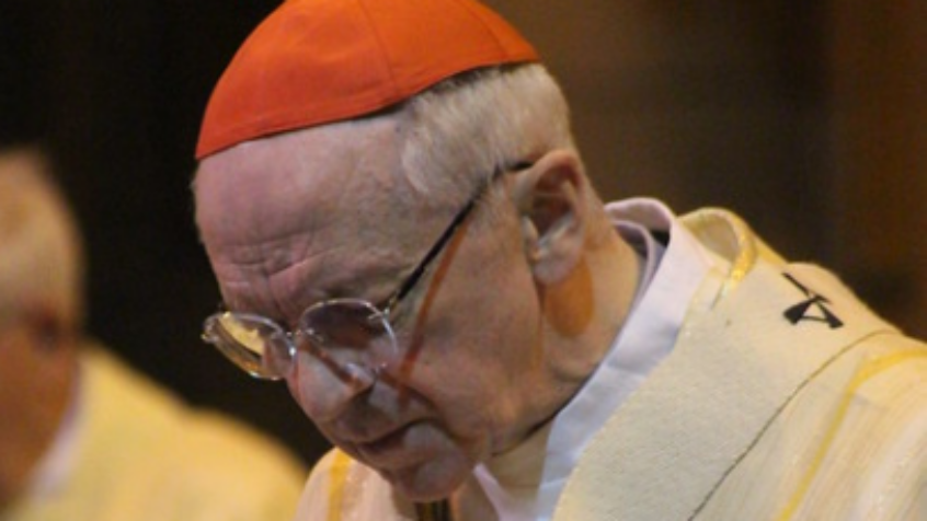 Célébration pour la paix en Ukraine : l&rsquo;homélie du cardinal De Kesel