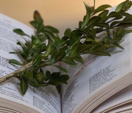 Opinion – Quand la lecture de la Passion fit chavirer mon âme