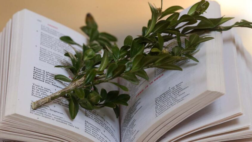 Opinion – Quand la lecture de la Passion fit chavirer mon âme