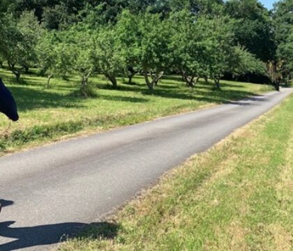 Quelle est l’origine du “kabig”, de la congrégation de Subiaco ?