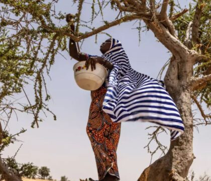 RADIO – Il était une foi… La crise alimentaire au Sahel et dans la Corne de l&rsquo;Afrique