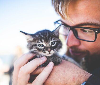 Que nous enseigne la Bible sur les rapports hommes-animaux?