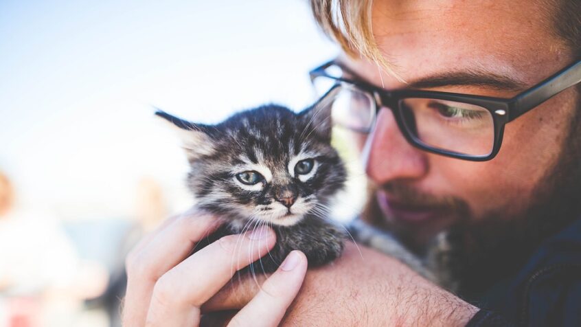 Que nous enseigne la Bible sur les rapports hommes-animaux?