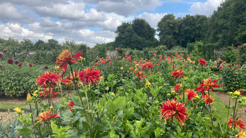 D’un jardin à l’autre, Colette Nys-Mazure nous guide dans sa promenade bucolique