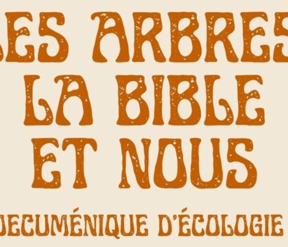 Les arbres, la Bible et nous