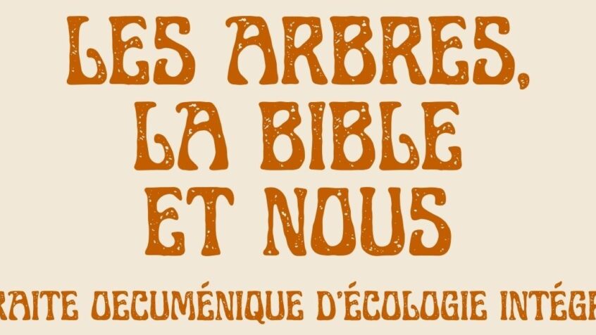 Les arbres, la Bible et nous