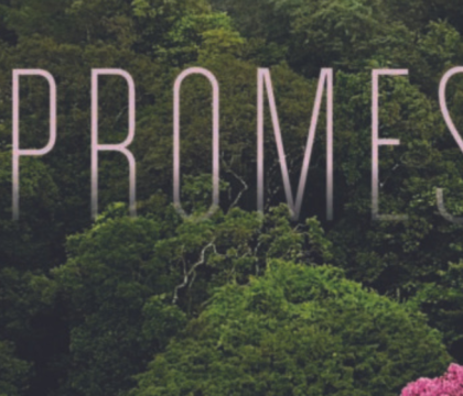 La promesse  – la pépite du mois