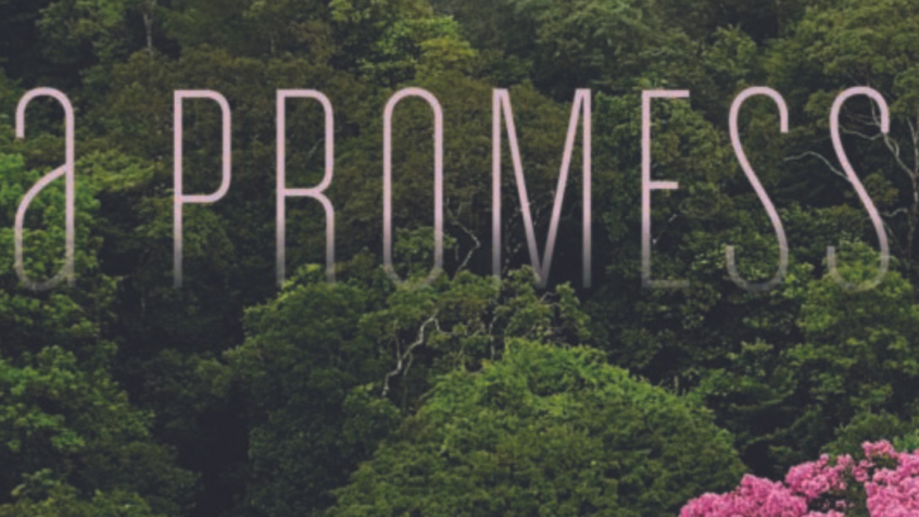 La promesse  – la pépite du mois