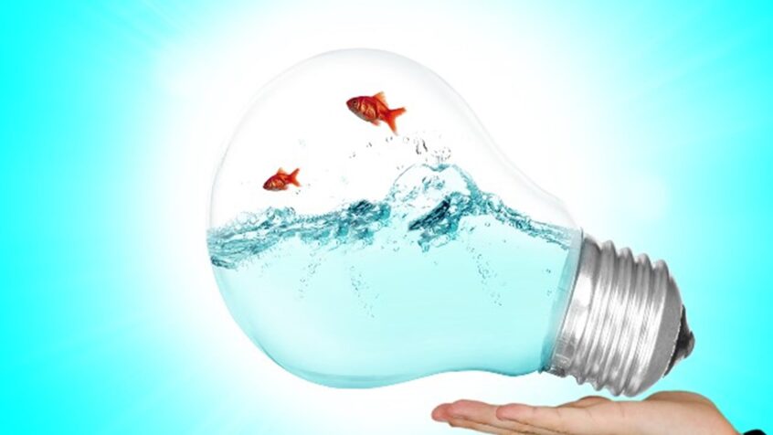 Job : membre du Service de Communication