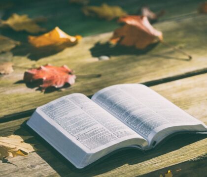 Nos 10 meilleurs articles sur la Bible (et plus encore !)