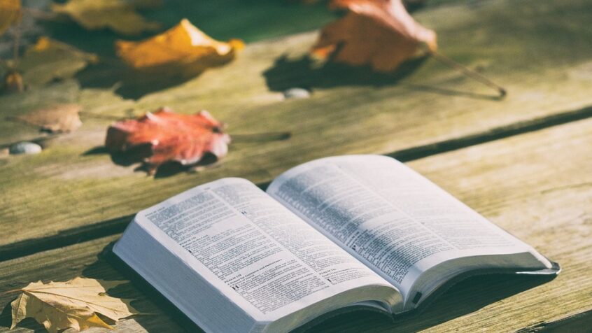Nos 10 meilleurs articles sur la Bible (et plus encore !)