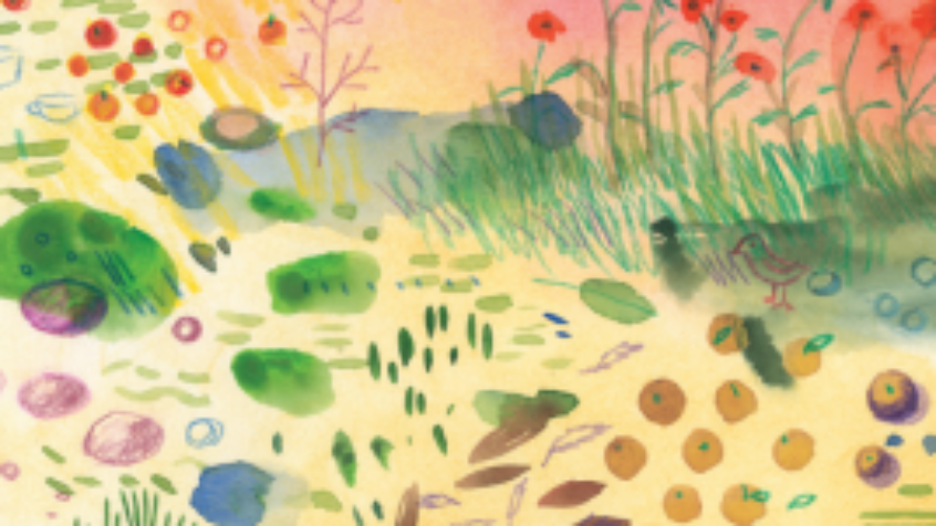 Livre : En direct du jardin