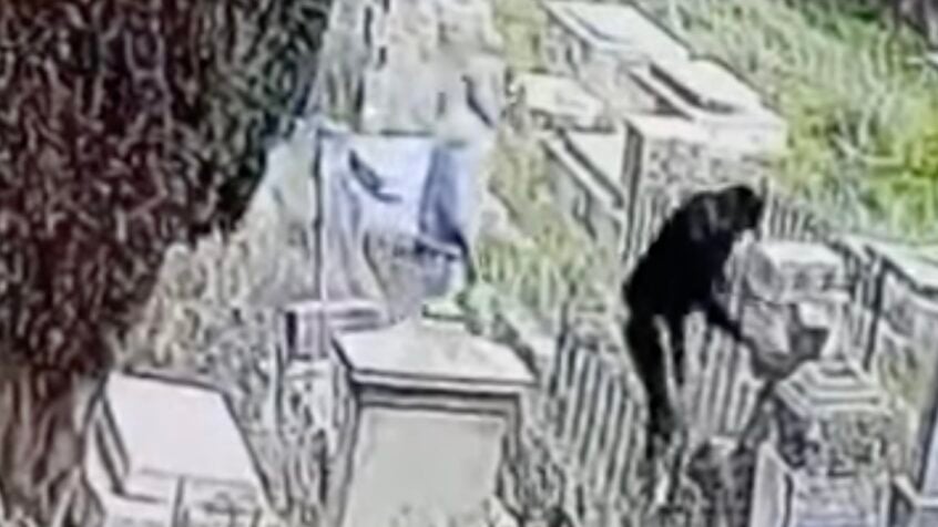 Tombes chrétiennes vandalisées à Jérusalem
