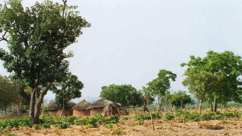 Au Nigeria, les évêques entament la révolution verte
