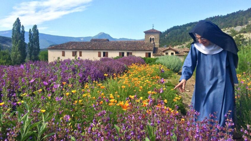 L’abbaye de Rosans, sous le soleil de Provence !