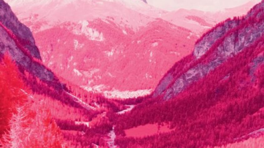 Livre : Là-haut sur la montagne…