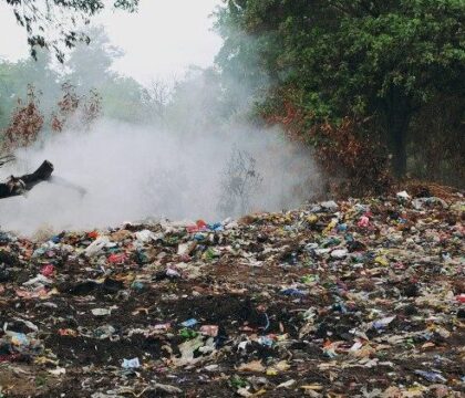 Journée de la terre: pour le Pape, il faut dépasser la culture du jetable