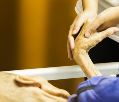 Débat sur la fin de vie en France: les évêques plaident pour l&rsquo; « aide active à vivre »
