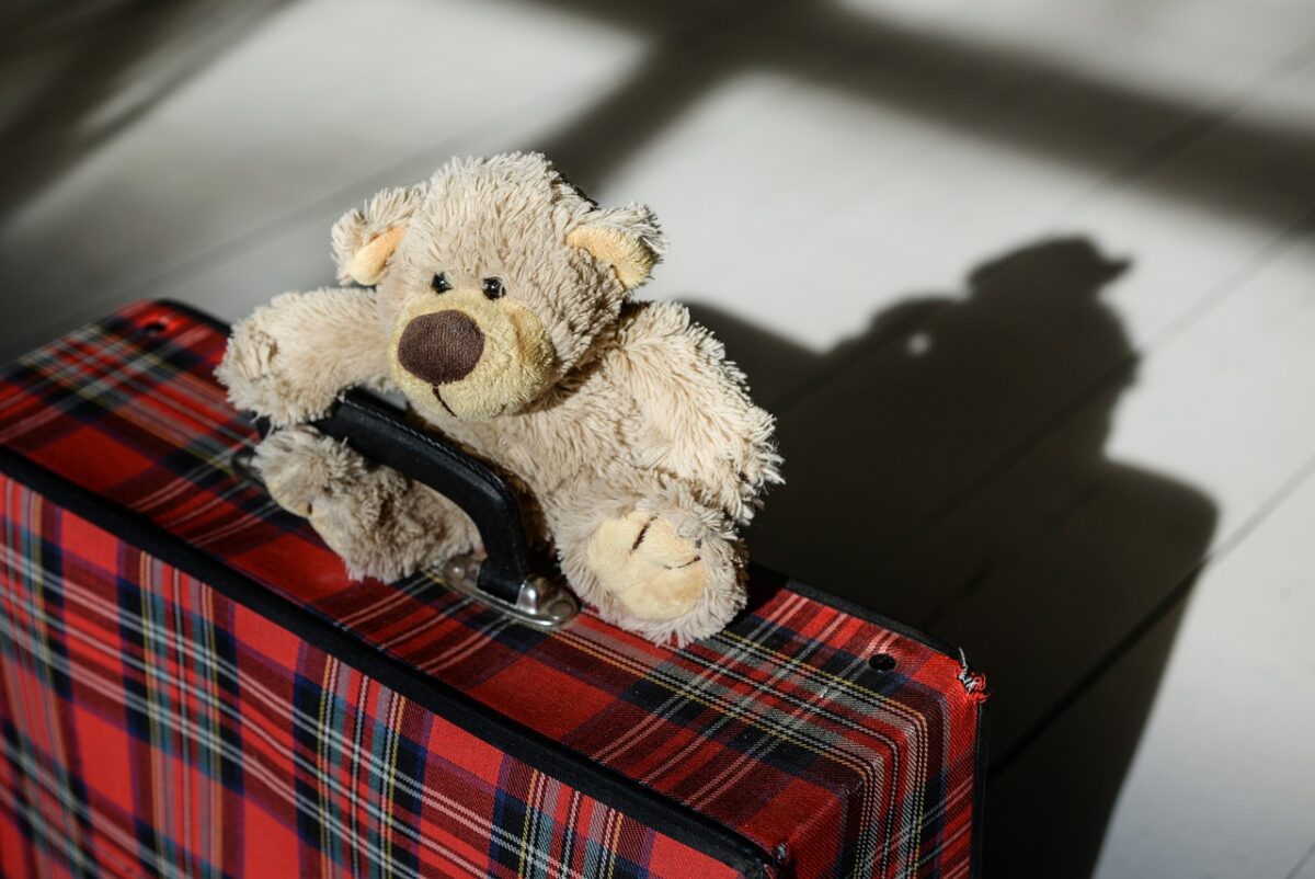 peluche ours valise