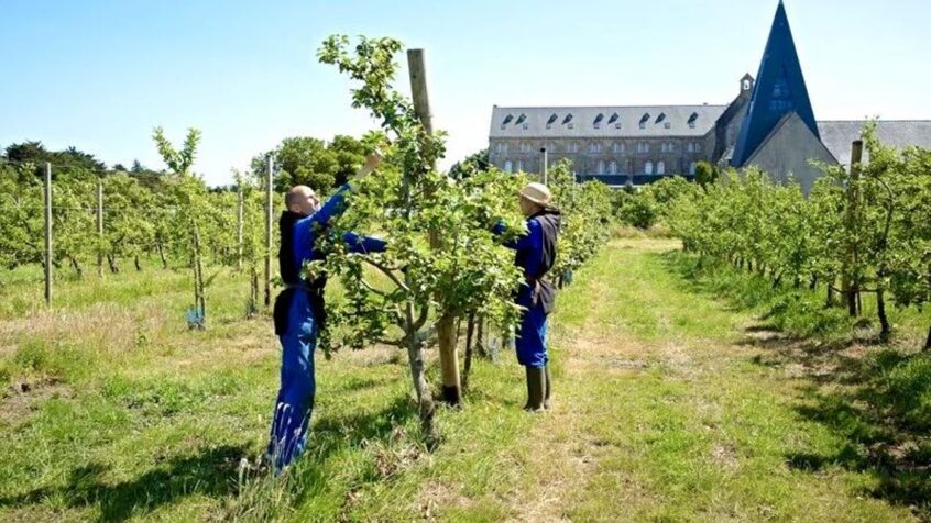 L’abbaye Sainte-Anne de Kergonan et son artisanat monastique fruité