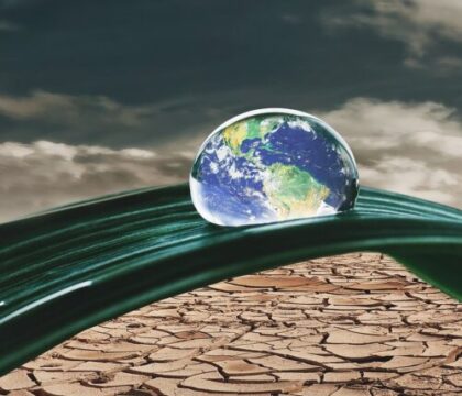 Suite à la COP 28, les organisations catholiques demandent davantage d&rsquo;engagement