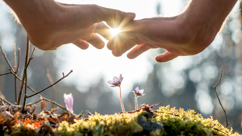 Opinion : Pour une écologie qui soit aussi spirituelle