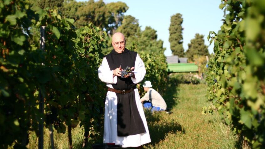 L’abbaye de Lérins : des moines cisterciens, des liqueurs et du vin