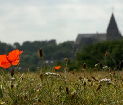Reportage exclusif: tout savoir sur l&rsquo;Eglise en Belgique… en 10 minutes!