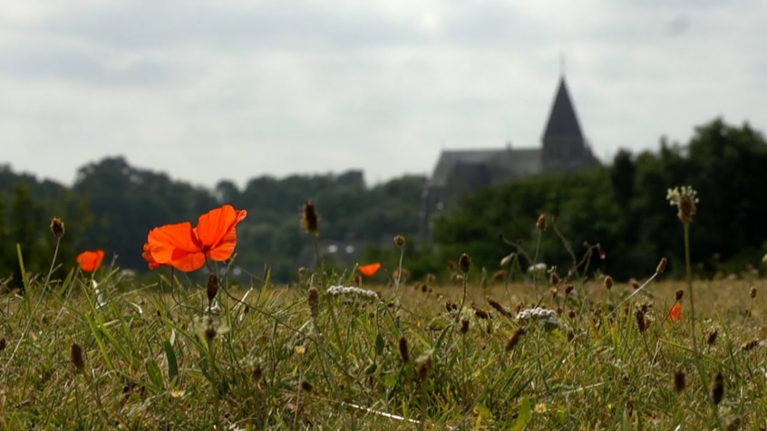 Reportage exclusif: tout savoir sur l&rsquo;Eglise en Belgique… en 10 minutes!