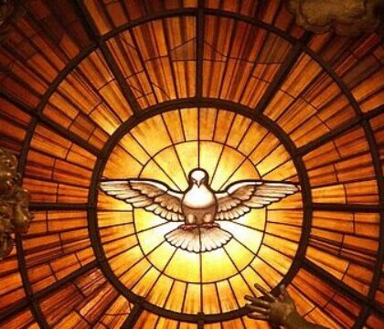 Communiqué de presse | Des nouveaux coordinateurs de Charis Belgium