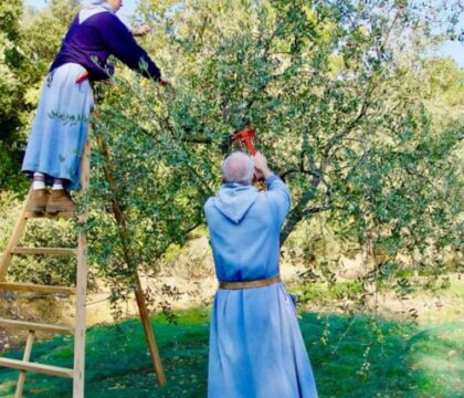 A l’abbaye du Barroux, le moulin à huile d’olive tourne à plein régime