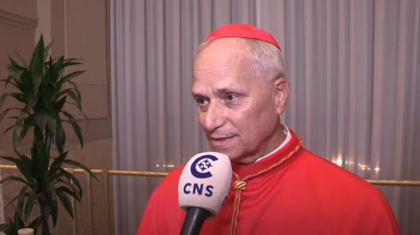 Qui est le cardinal Robert Francis Prevost, le nouveau pape ?
