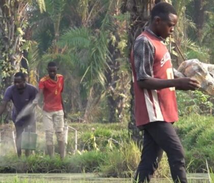 120 ans de présence salésienne en Belgique : VIA Don Bosco forme et soutient la jeunesse congolaise
