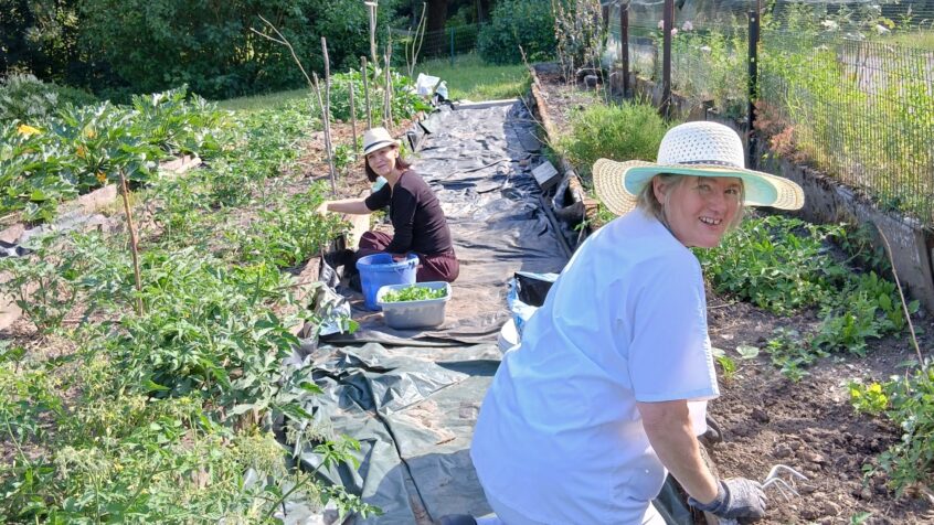 Semaine Verte à Soleilmont : « Semons des graines de paix ! »
