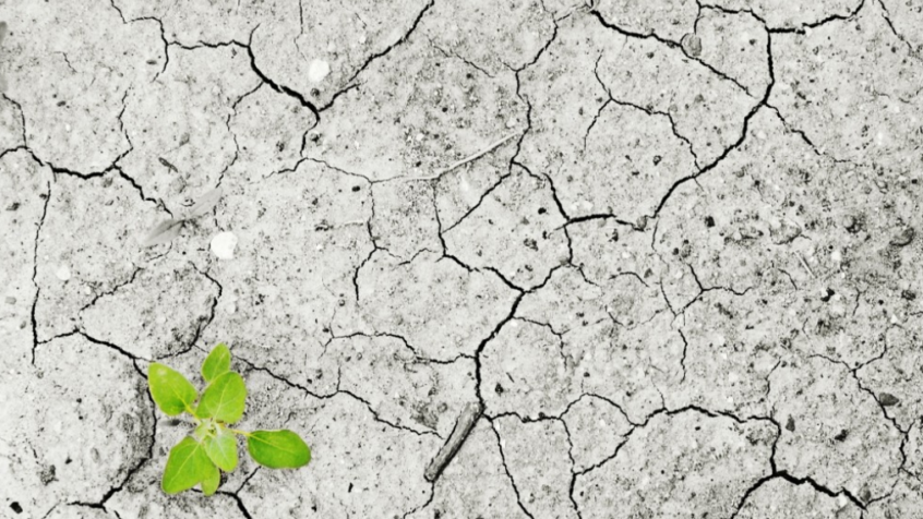 « La faim ne doit pas être utilisée comme une arme de guerre » : tel est le premier message en espagnol du pape Léon XIV