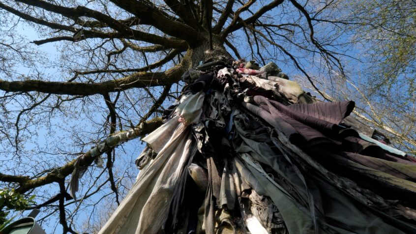 Des pratiques païennes christianisées : le cas des « arbres guérisseurs »