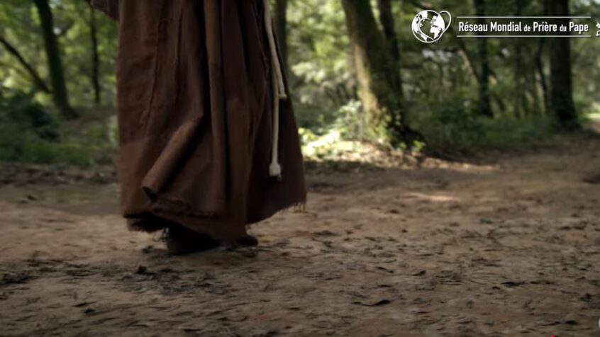 Vidéo du pape: « Pour notre relation avec toute la Création »
