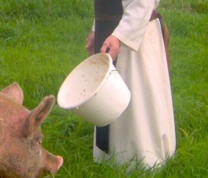 Abbaye de Bricquebec: campagne normande, moines trappistes et pâtés réputés